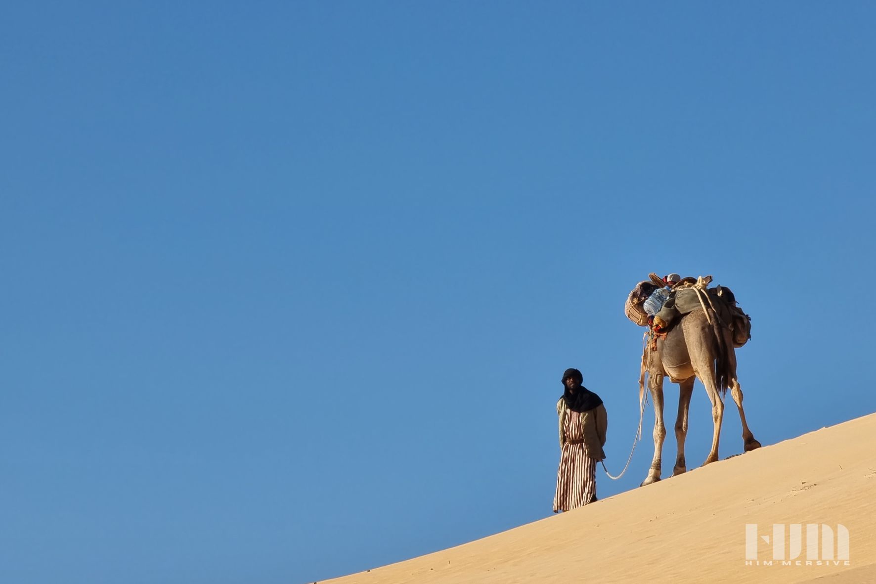 Dans les dunes du Sahara
