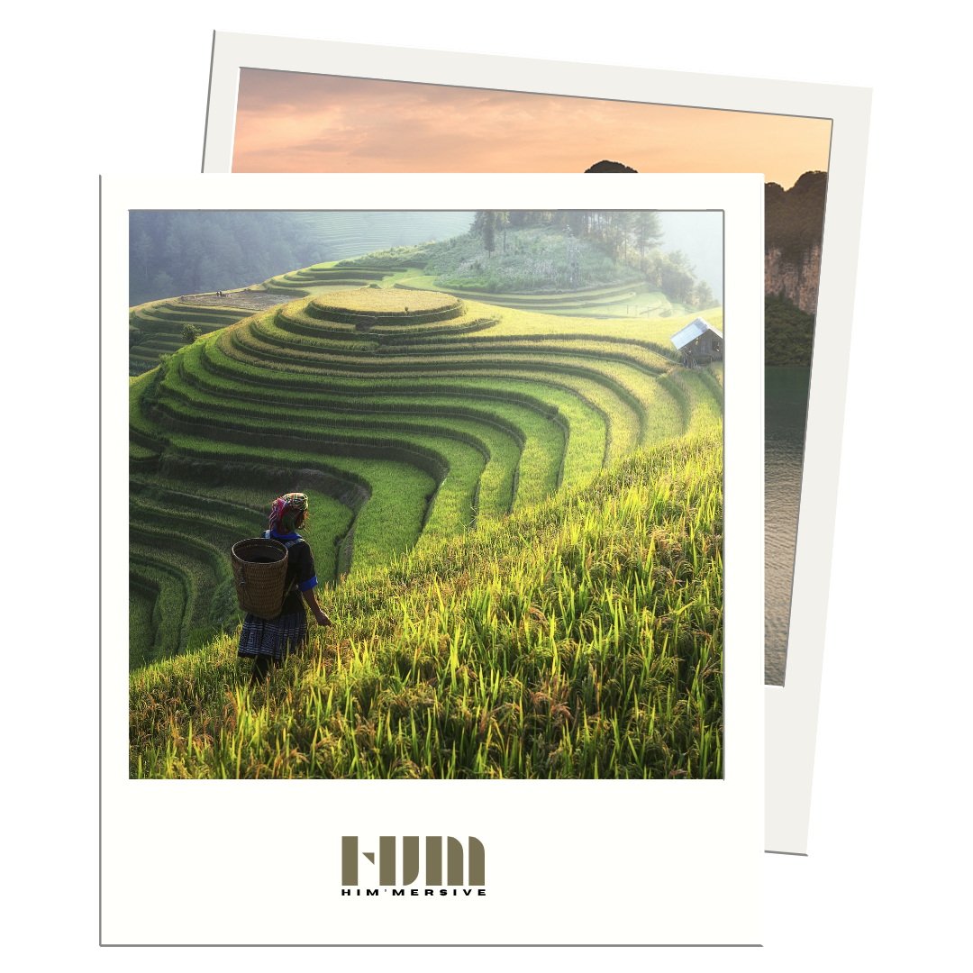 Vietnam – voyage de groupe