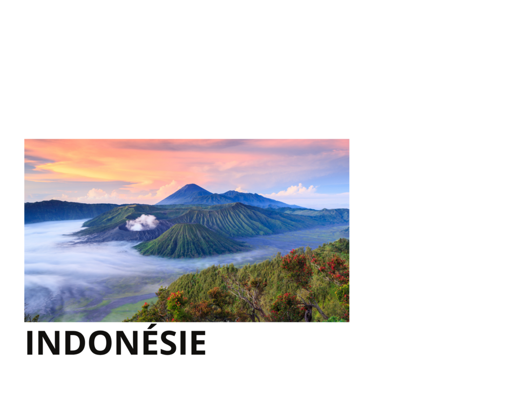 Vue panoramique du volcan Mount Bromo et du massif du Tengger au lever du soleil à Java Est, Indonésie, avec des cratères fumants, une mer de brouillard dans la caldeira, une végétation tropicale au premier plan et un ciel aux teintes roses, orangées et violettes.