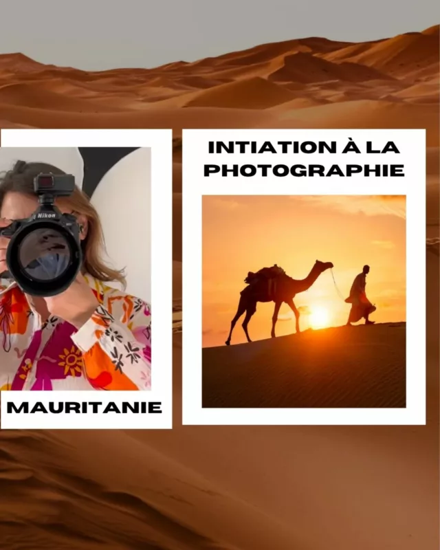 📸✨ Et si tu partais en Mauritanie pour apprendre la photo… dans le désert ?  Je te promets, ce n’est pas un rêve.
C’est LE voyage que j’aurais rêvé qu’on me propose : un séjour unique, en petit groupe (8 personnes max), en plein cœur du désert mauritanien… avec Olga Morcuende, photographe du Rallye Aïcha des Gazelles. Oui, rien que ça 😍  Tu débutes en photo ou tu veux t’améliorer avec une pro passionnée et ultra pédagogue ?
Tu rêves de dunes dorées, de lumières magiques au lever du jour, de portraits authentiques et de nuits sous les étoiles ?
➡️ Ce voyage est fait pour toi.  Mais attention : très peu de places, et ça va vite partir.
📞 Appelle-moi direct si tu veux plus d’infos ou réserver ta place : je t’explique tout de vive voix - +33 6 26 22 78 71.  On part ensemble pour une vraie immersion, un carnet de voyage plein les yeux et des souvenirs capturés pour toujours.
Qui vient ? 🌍💛  #VoyageAutrement
#voyagephoto #voyagephotographie #photographedumonde #desertsahara #voyageinsolite #himmersivetravel #himmersive