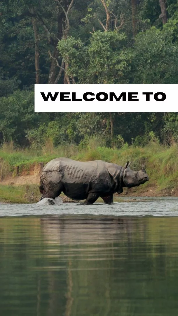 🌿 Le Parc national de Chitwan est l’un des trésors du Népal. Classé au patrimoine mondial de l’UNESCO, il offre une immersion unique au cœur de la jungle. On y croise des éléphants, des crocodiles, une multitude d’oiseaux colorés, et parfois, la silhouette impressionnante du rhinocéros. 🦏🐘  Explorer Chitwan, c’est alterner entre des safaris en jeep pleins de surprises et des balades en pirogue où le calme de la rivière contraste avec l’énergie de la jungle. Chaque instant est une rencontre avec une nature encore préservée et authentique.  C’est une expérience à la fois apaisante et intense, qui rappelle combien la nature est grandiose. ✨  👉 Avouez… vous imaginiez vraiment croiser des rhinocéros et des crocodiles au Népal ? 😉  #agencedevoyage #voyagesurmesure #voyagepersonnalisé #voyageauthentique #VoyageAutrement #travelplanner #nepaltrek #chitwannepal